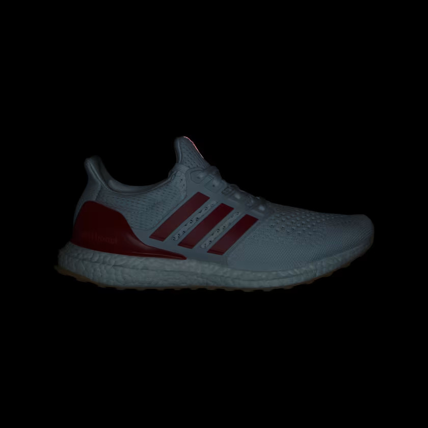 adidas men Ultraboost 1.0 Shoes